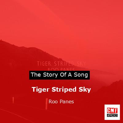 final cover Tiger Striped Sky Roo Panes