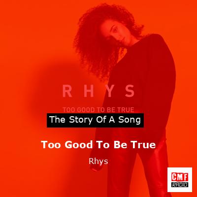 final cover Too Good To Be True Rhys