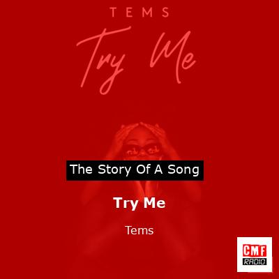 final cover Try Me Tems