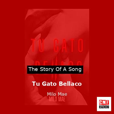 final cover Tu Gato Bellaco Milo Mae