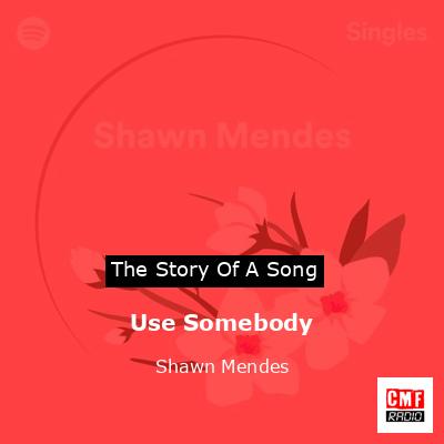 Use Somebody – Shawn Mendes