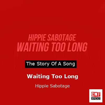 final cover Waiting Too Long Hippie Sabotage