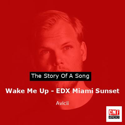 Wake Me Up – EDX Miami Sunset – Avicii