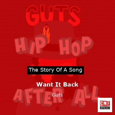 final cover Want It Back Guts