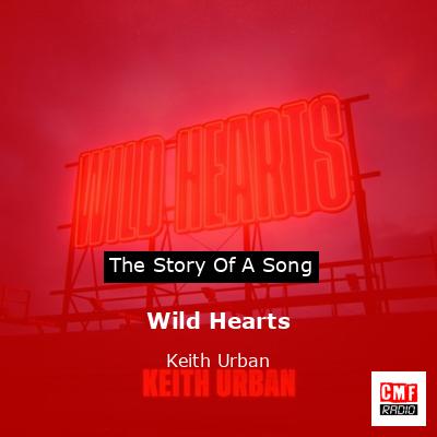 Wild Hearts – Keith Urban