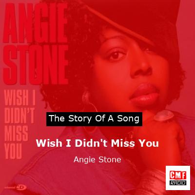 Wish I Didn’t Miss You – Angie Stone
