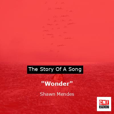 “Wonder” – Shawn Mendes