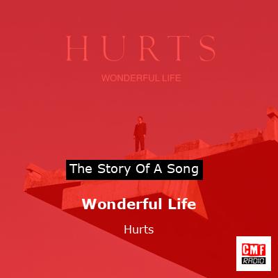final cover Wonderful Life Hurts