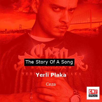 Yerli Plaka – Ceza