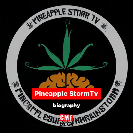 Pineapple StormTv – biography