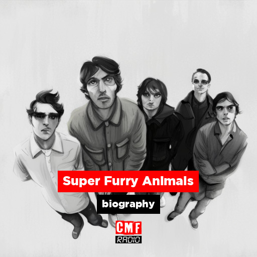 Super Furry Animals – biography