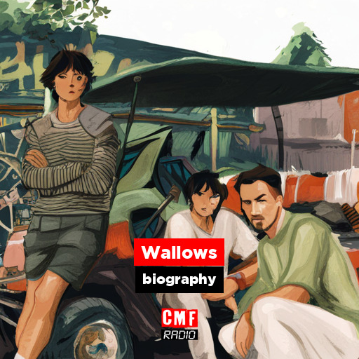 Wallows - biography - CMF Radio