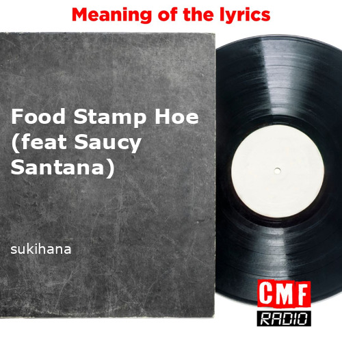 The story and meaning of the song Food Stamp Hoe feat Saucy