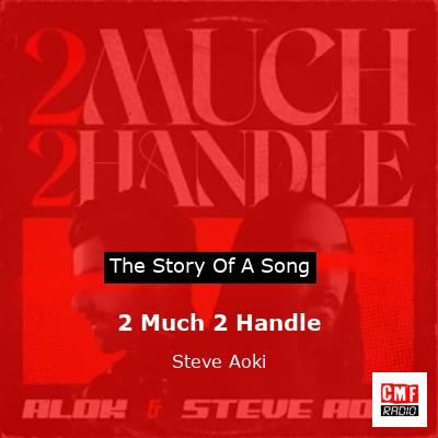2 Much 2 Handle – Steve Aoki