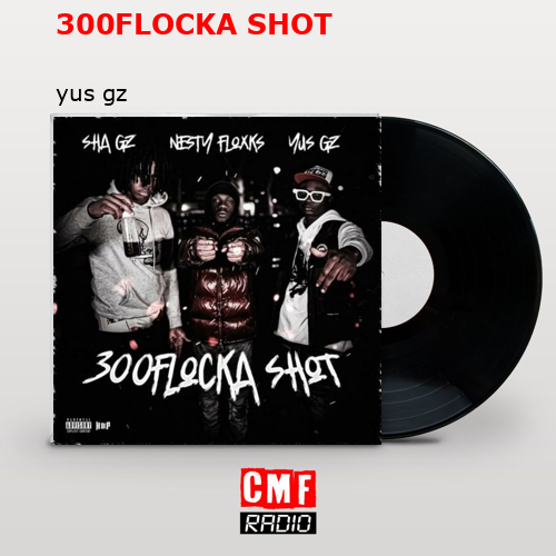 300FLOCKA SHOT – yus gz