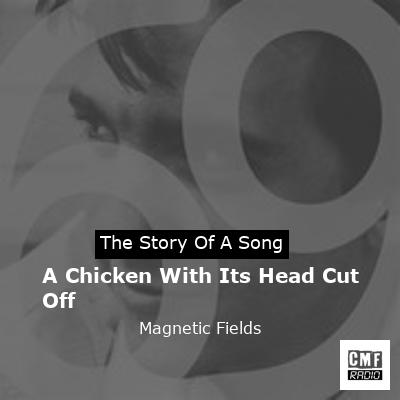 A Chicken With Its Head Cut Off – Magnetic Fields
