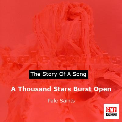 final cover A Thousand Stars Burst Open Pale Saints