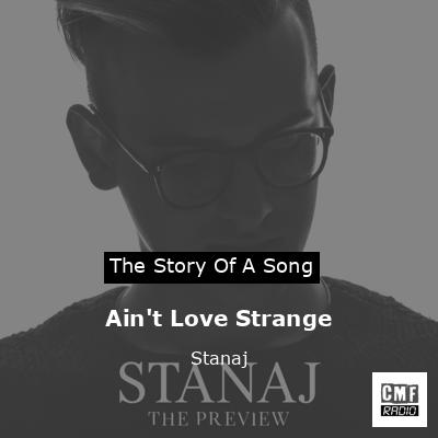 final cover Aint Love Strange Stanaj