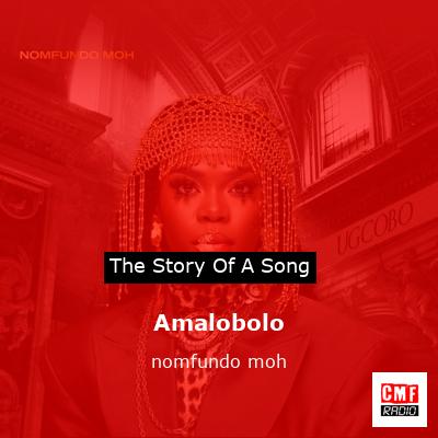 Amalobolo – nomfundo moh