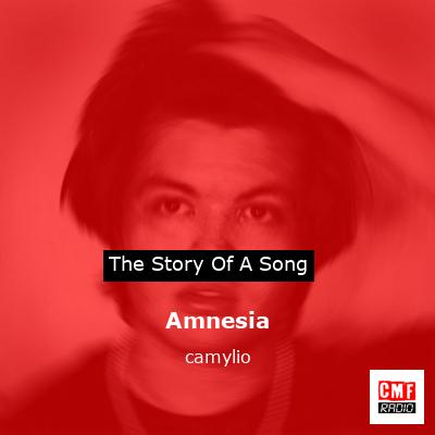 Amnesia – camylio