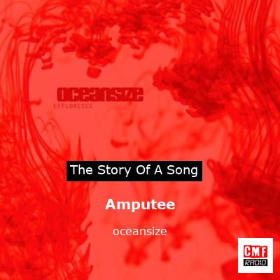 Amputee – oceansize
