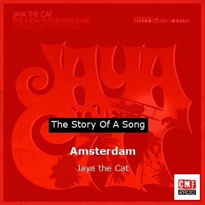 Amsterdam – Jaya the Cat