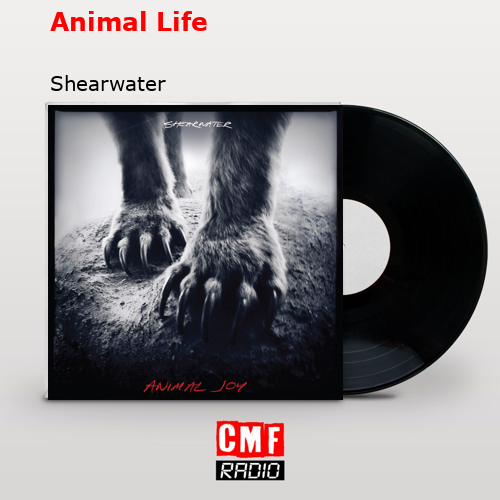 final cover Animal Life Shearwater
