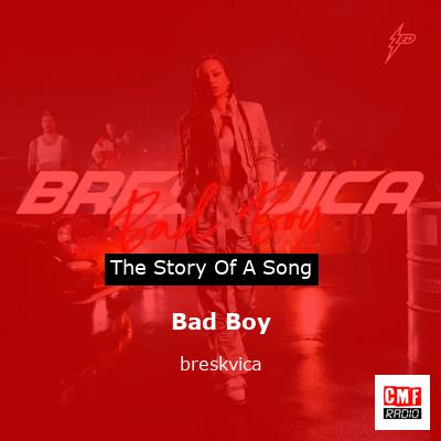 final cover Bad Boy breskvica