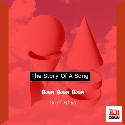 Bae Bae Bae – Gruff Rhys