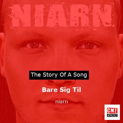 Bare Sig Til – niarn