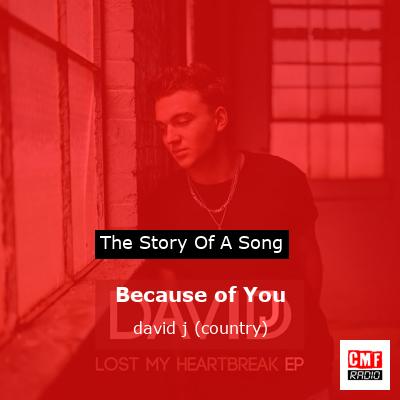 Because of You – david j (country)
