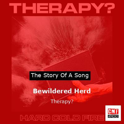 Bewildered Herd – Therapy?