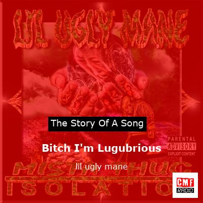 Bitch I’m Lugubrious – lil ugly mane