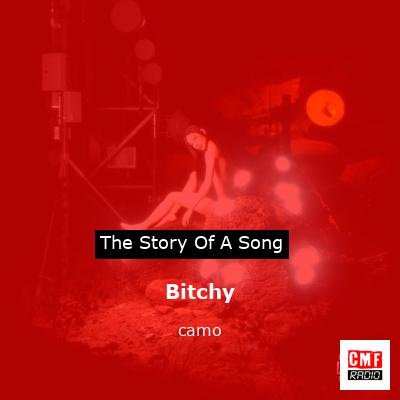 Bitchy – camo