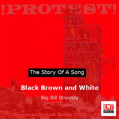 final cover Black Brown and White Big Bill Broonzy