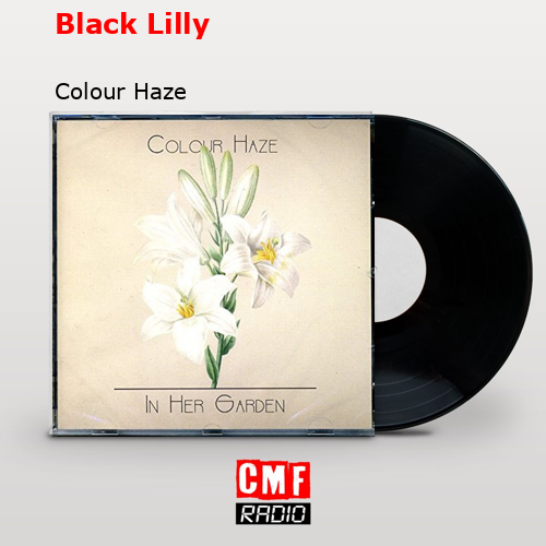 Black Lilly – Colour Haze