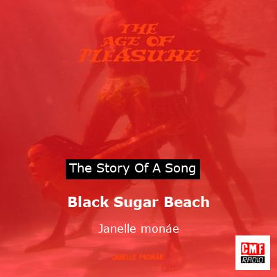 Black Sugar Beach – Janelle monáe