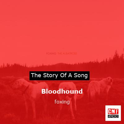 Bloodhound – foxing
