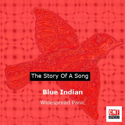 Blue Indian – Widespread Panic