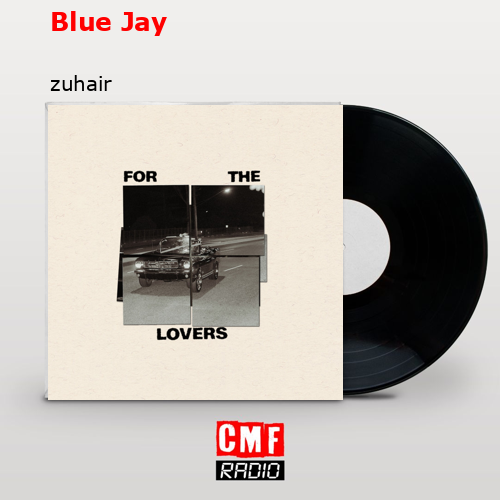 Blue Jay – zuhair