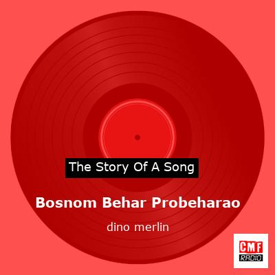 Bosnom Behar Probeharao – dino merlin