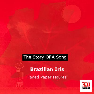 Brazilian Iris – Faded Paper Figures