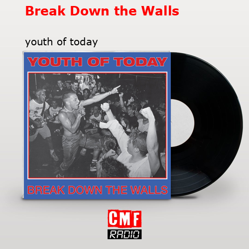 final cover Break Down the Walls youth of today