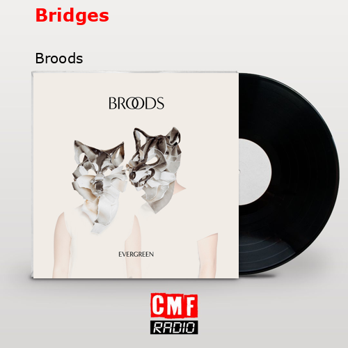 final cover Bridges Broods