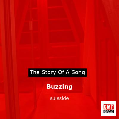 Buzzing – suisside