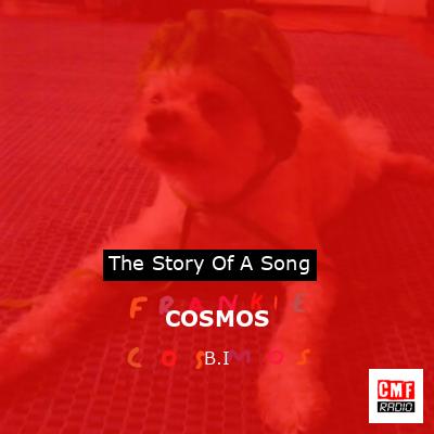 COSMOS – B.I