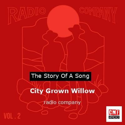 City Grown Willow – radio company