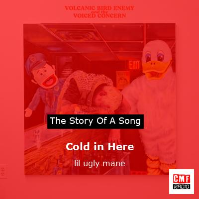Cold in Here – lil ugly mane