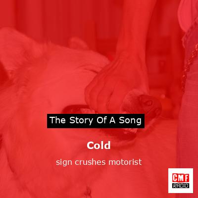Cold – sign crushes motorist