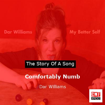 Comfortably Numb – Dar Williams